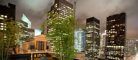 peninsula hotel wedding nyc