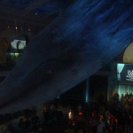 museum of natural history events