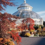 Wedding at New York Botanical Gardens