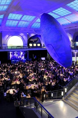 museum of natural history corporate events