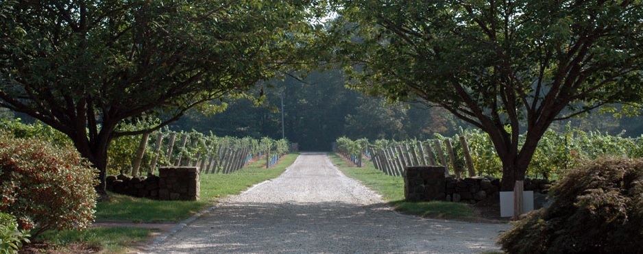 A Beautiful Day for  a Wedding at Chamad Vineyards 